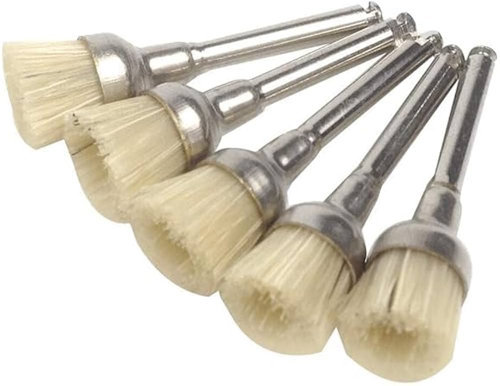 Prophy Brush