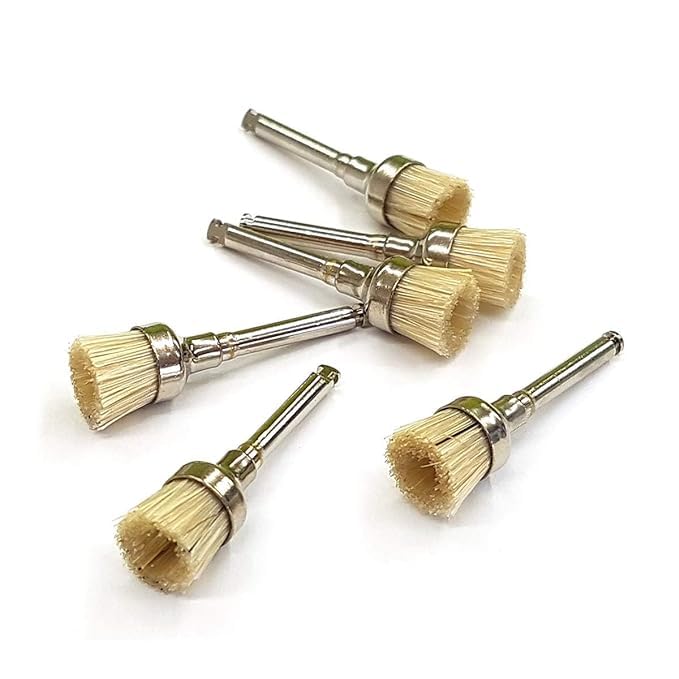Prophy Brush